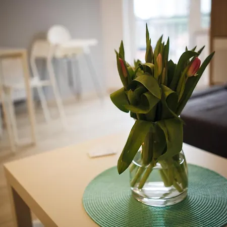 Apartament Ksandra Mare - Aprent *